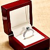 18k White Gold Sidestone Engagement Ring with Blue Diamond i906DbDi