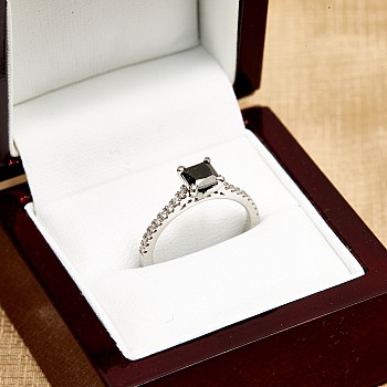 18k Gold or Platinum Engagement Ring with Black Diamond Princess and Diamonds - model i2621