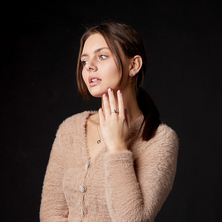 Gouden Kreeft Zodiac Hanger met Diamant pan2071