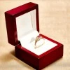 Classic Gold Gift Ring with Ruby and Diamonds i006RbDi